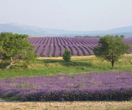 Ferme Lou