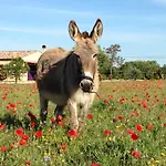 Domaine De La Ferme Lou Sainte-Croix-de-Verdon