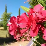 Domaine De La Ferme Lou 4* Sainte-Croix-de-Verdon