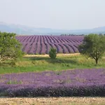 Domaine De La Ferme Lou