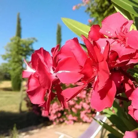 Ferme Lou 4* Sainte-Croix-de-Verdon