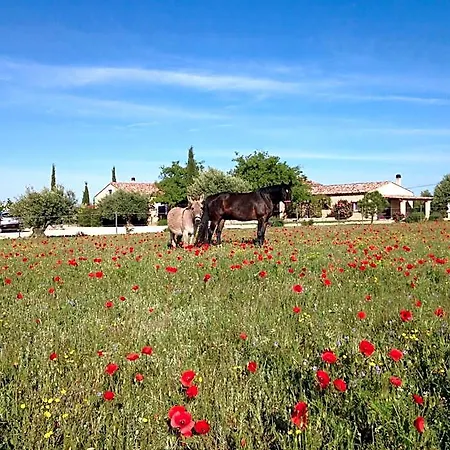 Domaine De La Ferme Lou Sainte-Croix-du-Verdon