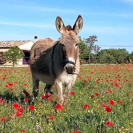 Domaine De La Ferme Lou 4*