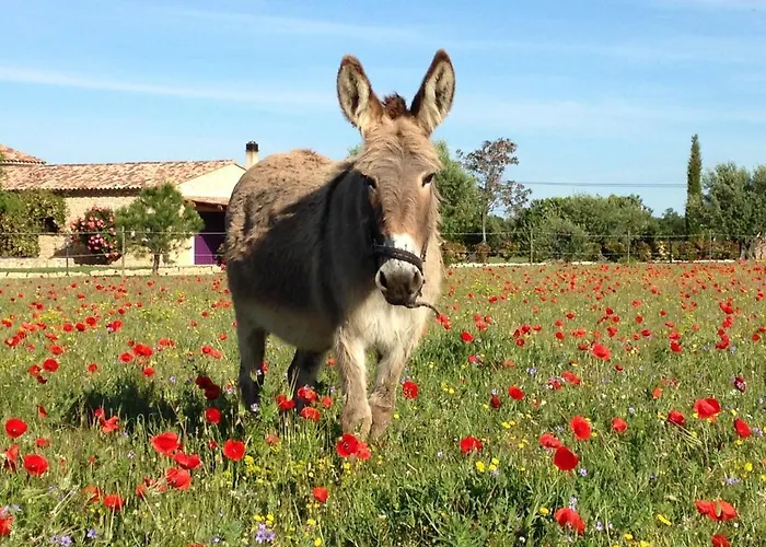 Ferme Lou Sainte-Croix-de-Verdon