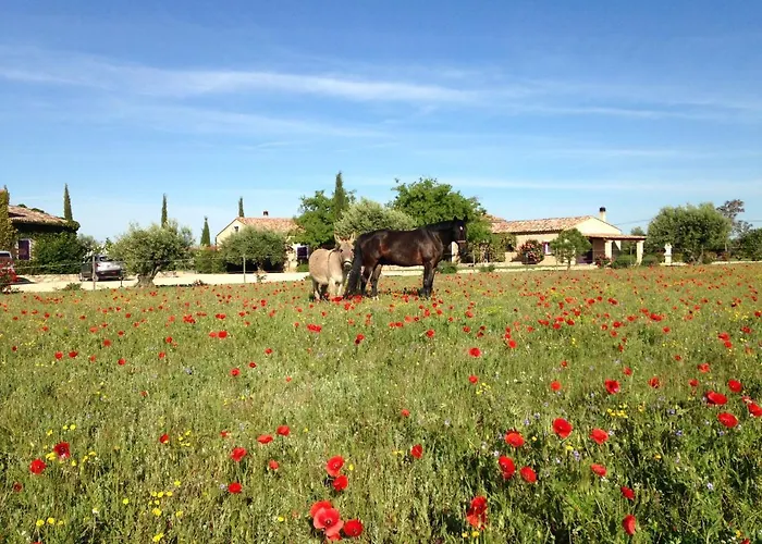 Ferme Lou Sainte-Croix-de-Verdon