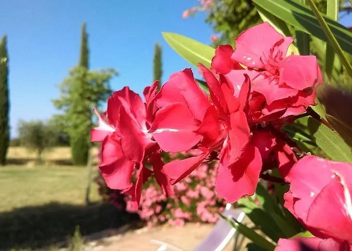 Ferme Lou 4* Sainte-Croix-de-Verdon